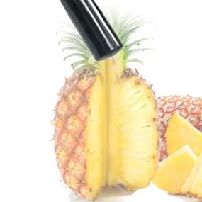 Haushalts-Ananas-Schälmaschine – Home Improvement Mall Bewertung und Preis