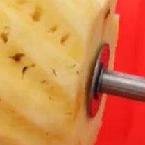 Haushalts-Ananas-Schälmaschine – Home Improvement Mall Bewertung und Preis